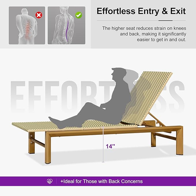 PURPLE LEAF Extra Wide Patio Chaise Lounge Set of 2 Outdoor Lounger French PE