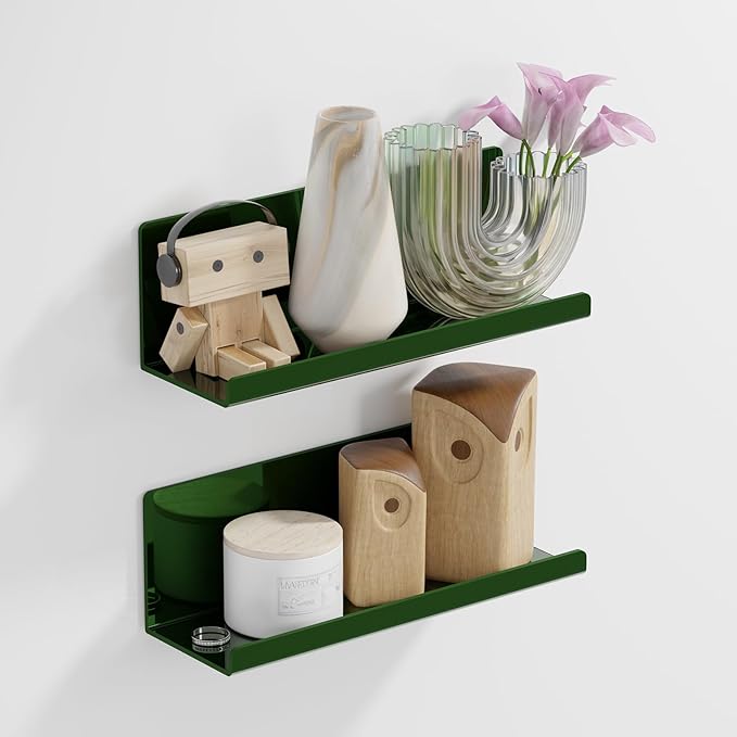 PAVSTINE Adhesive Floating Shelves