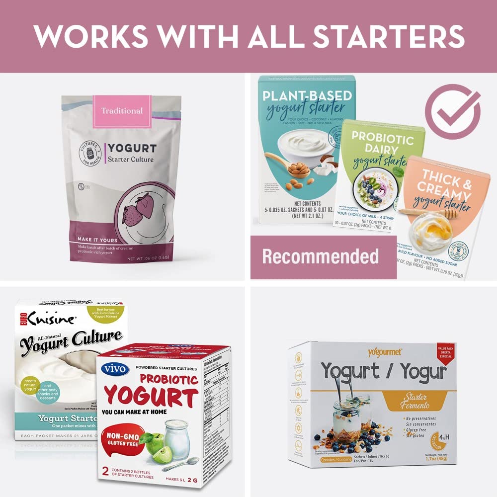 Stainless Steel Yogurt Maker with 1 Quart Glass Jar and Complete Recipe Book to Make 12+ Easy Homemade Dairy Free and Milk Yogurts