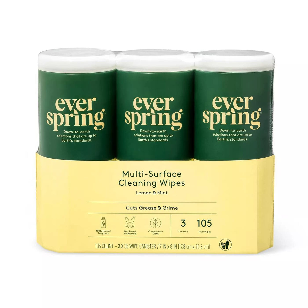 Ever Spring Multi-Surface Cleaning Wipes Lemon & Mint 3 Pack