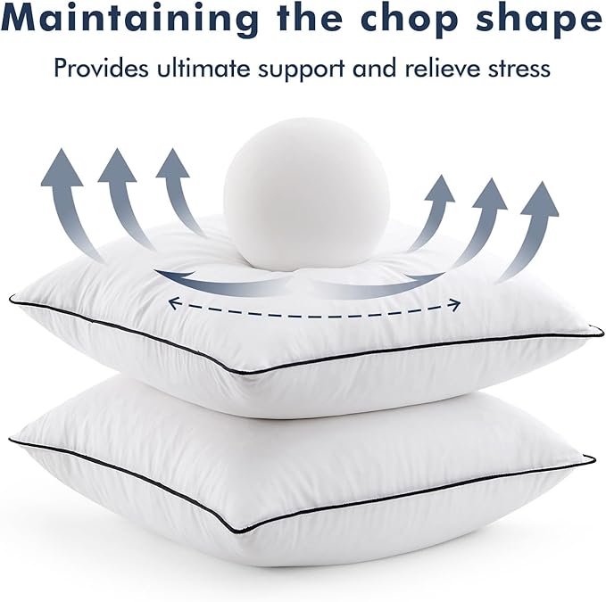 MIULEE Goose Feather Down 20x20 Pillow Insert Set of 2
