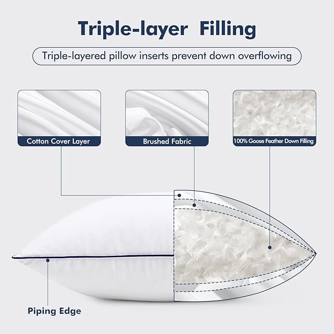 MIULEE Goose Feather Down 20x20 Pillow Insert Set of 2