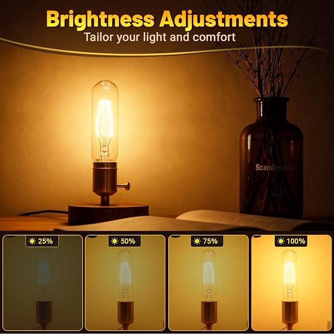T10 Tubular Light Bulbs 25 Watt Incandescent Light Bulb, T10 Bulb, 120V 25W