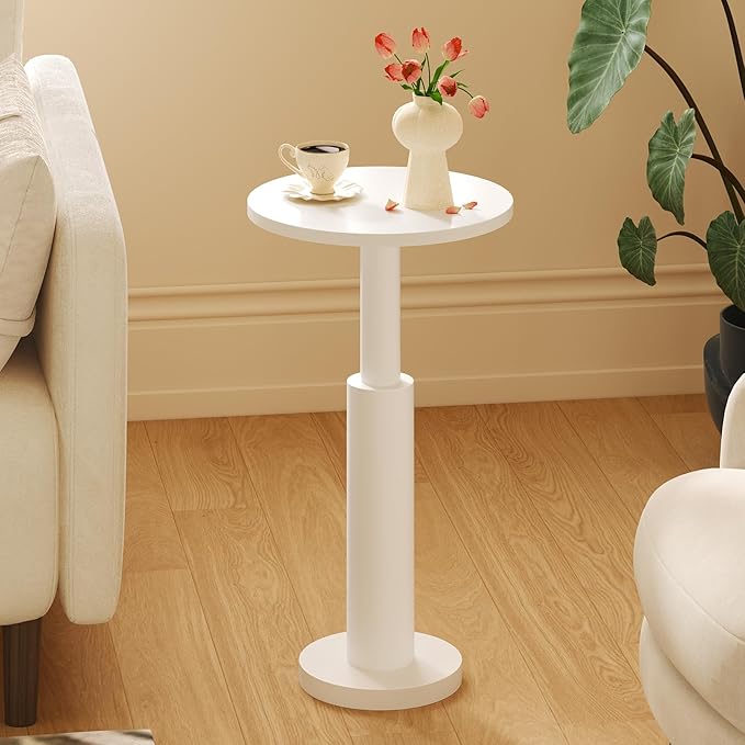 LAATOOREE Small Round Side Tables Set of 2, Drink Tables, Accent Coffee Tables