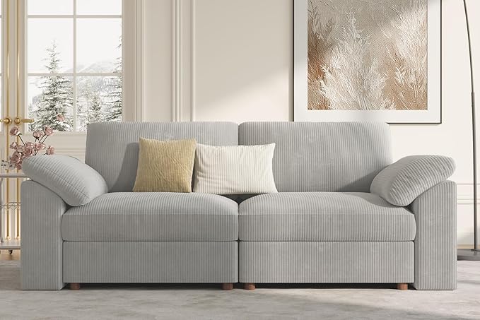EASE MOOSE Comfty 2 Seat Couch, FSC Certified Modern Deep Seat Sectional Modular