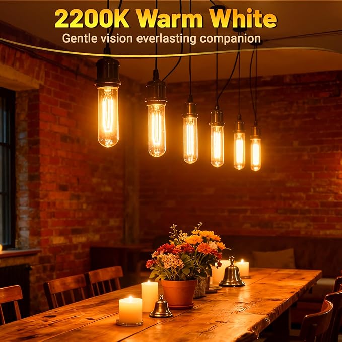 T10 Tubular Light Bulbs 60 Watt Incandescent Light Bulb, T10 Bulb, 120V 60W
