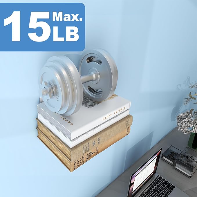 Fentec Invisible Floating Bookshelf, Wall Mounted Floating Bookshelves