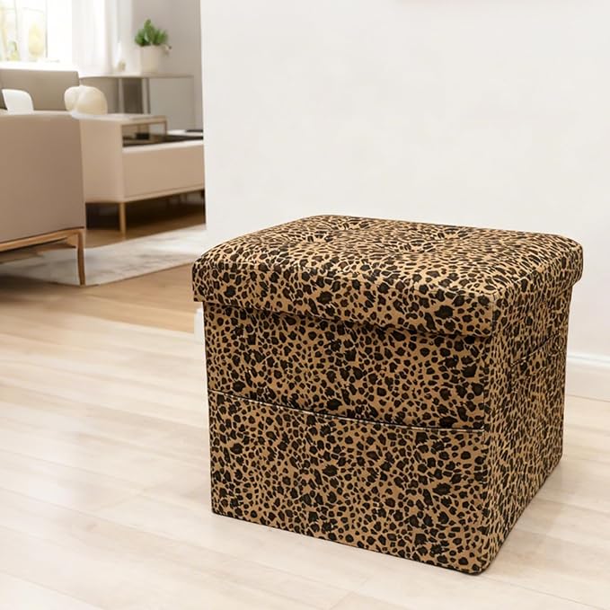 ALASDO Storage Ottoman Footrest Stool Small Ottoman