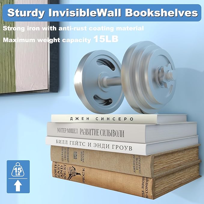 Fentec Invisible Floating Bookshelf, Wall Mounted Floating Bookshelves
