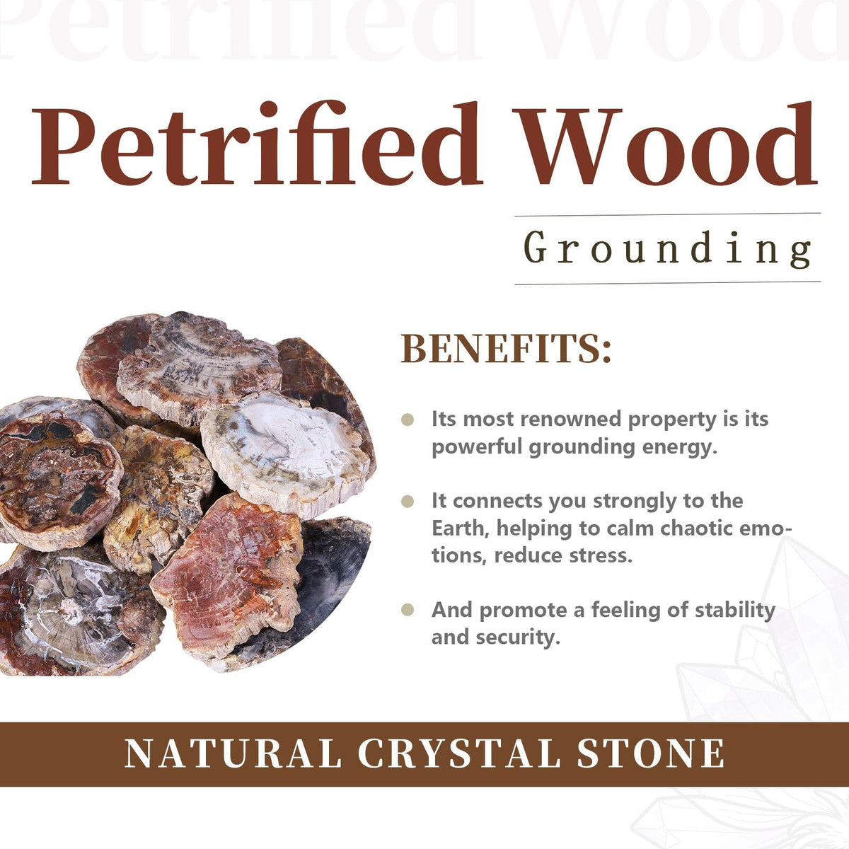 Rockcloud 1.5-3" Natural Irregular Petrified Wood Stones Chakra Healing Stone Specimen Pack of 5