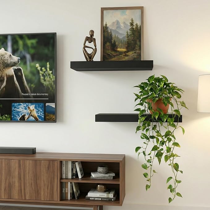 17.5in Floating Shelves for Wall, Wall Mounted Shelves for Decor Storage Set of