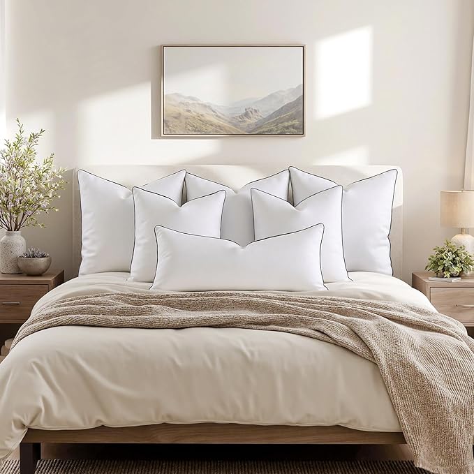 MIULEE Goose Feather Down 18x18 Pillow Insert Set of 2