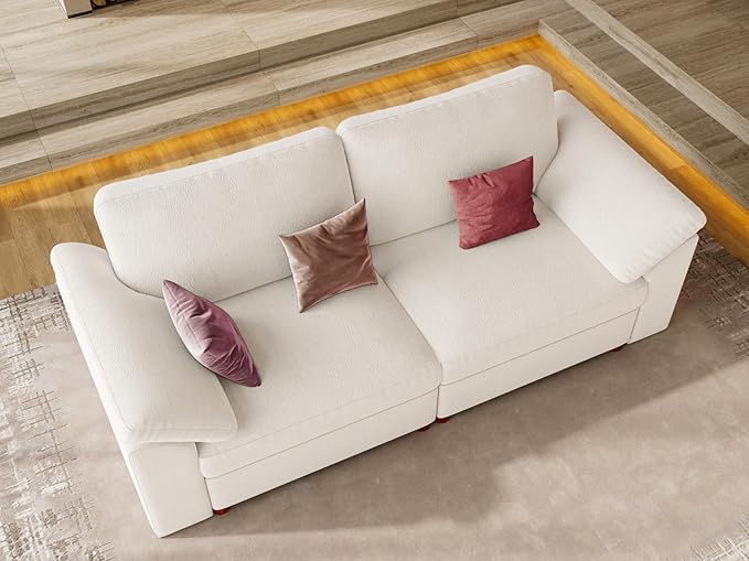 EASE MOOSE Modern Loveseat Sofa