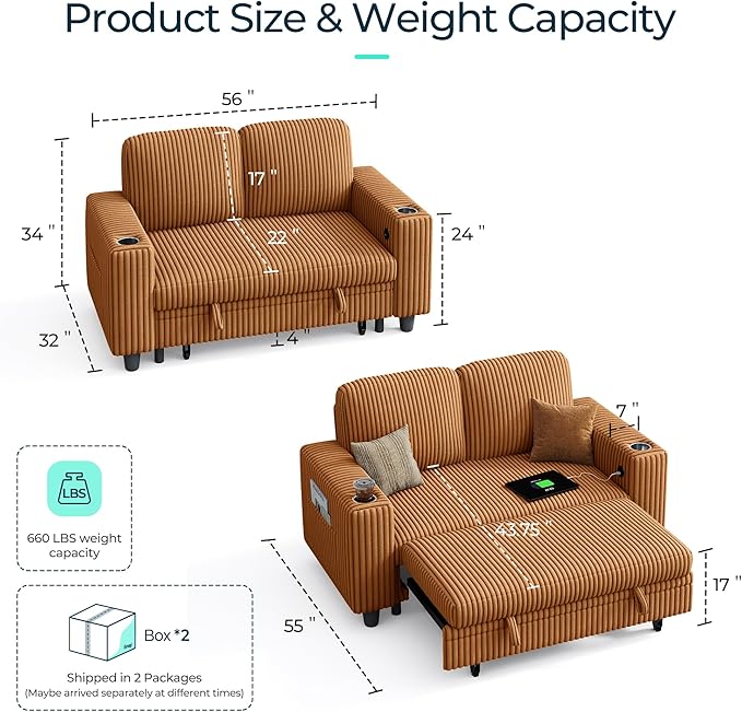 LINSY HOME Sectional Sleeper Sofa Pull Out Couches