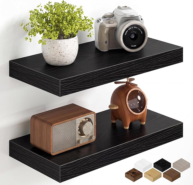 Fun Memories 16Inch Floating Shelves