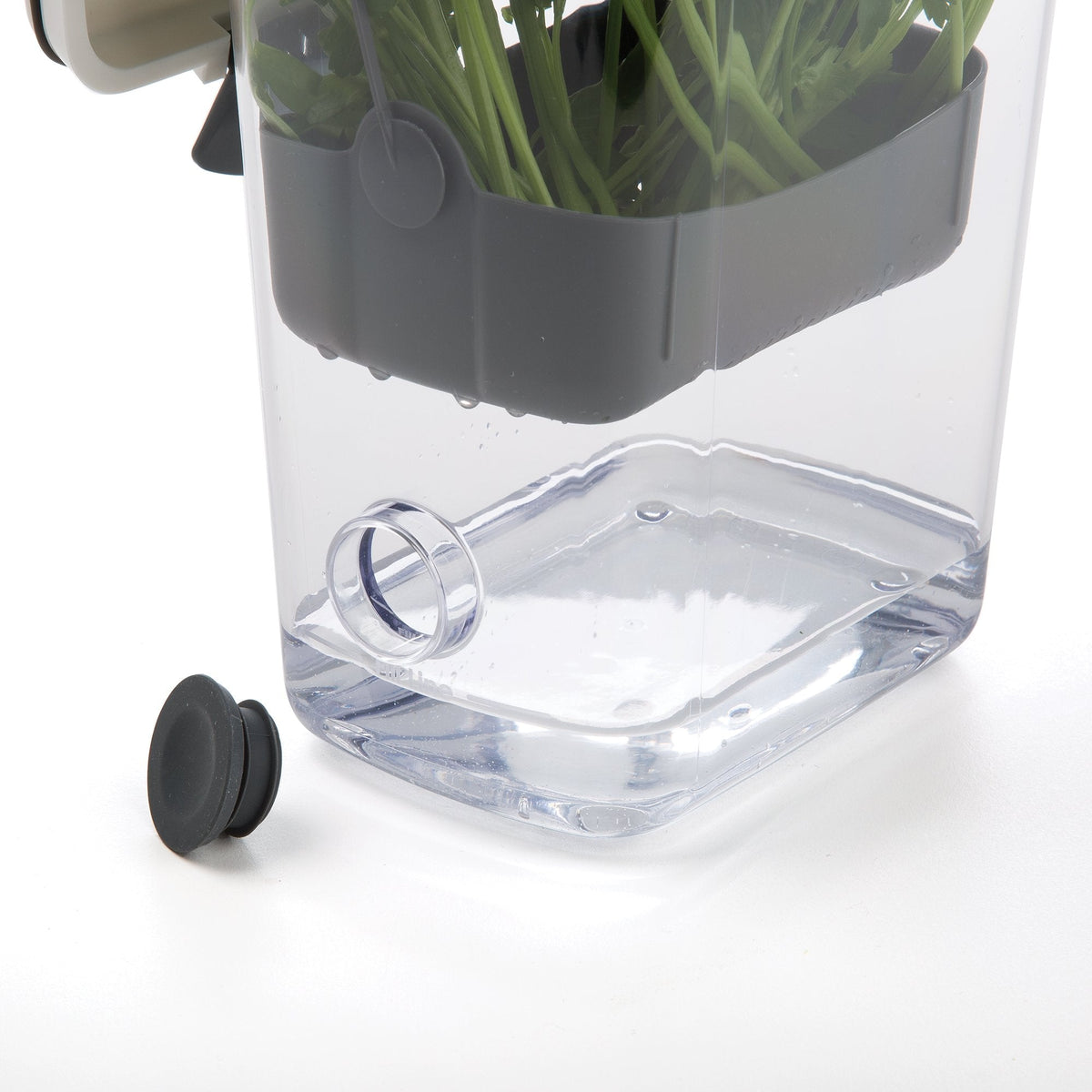 ProKeeper Herb Keeper – 1-Piece, White, with Removable Silicone Drain Plug, BPA-Free Plastic