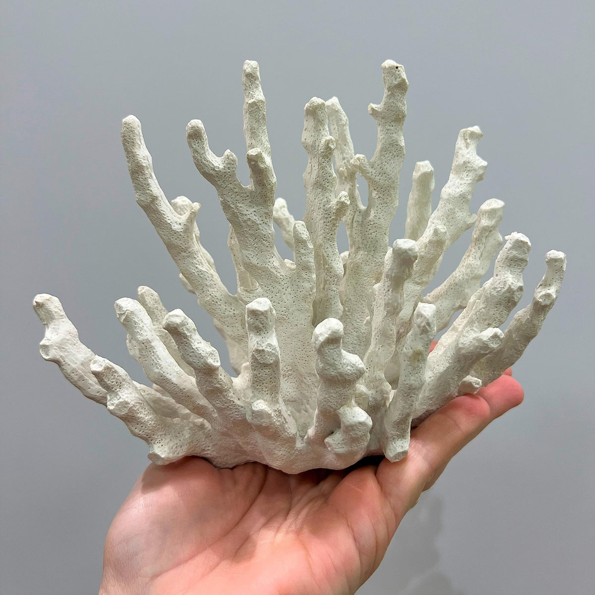 Abbott Collection 20-SEASHORE/25 Large White 3D Starfish Decorative Resin Figurine