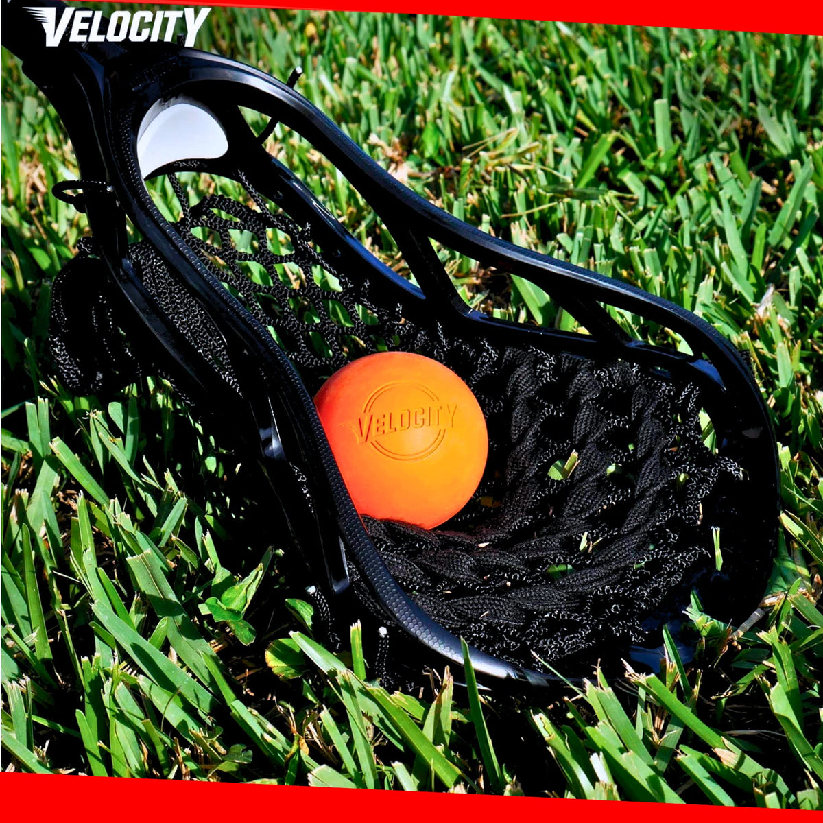 Velocity Practice Lacrosse Balls - 60 Pack - Official Size and Weight - Multi Color